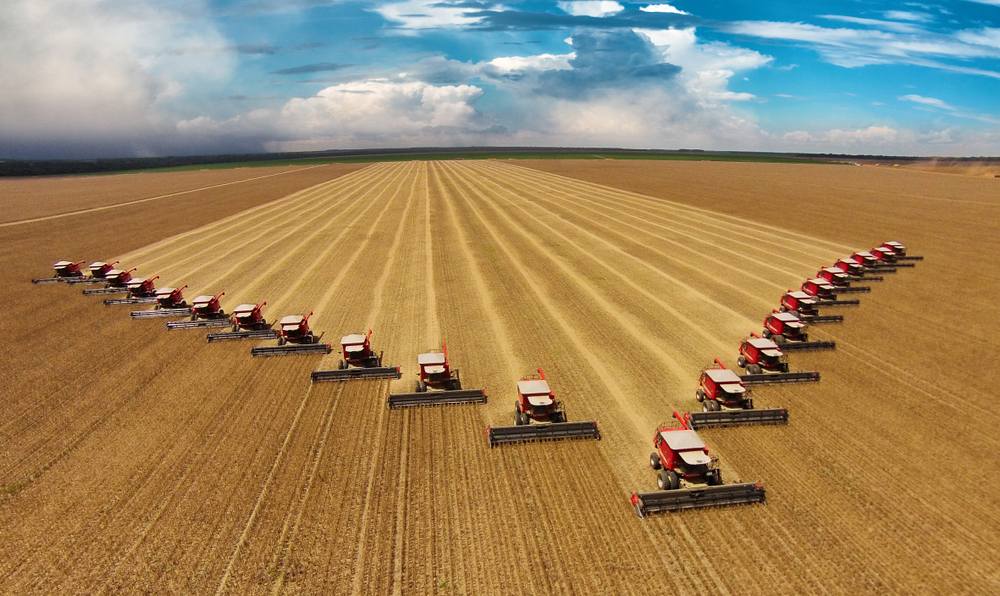 harvesters lined up in a field